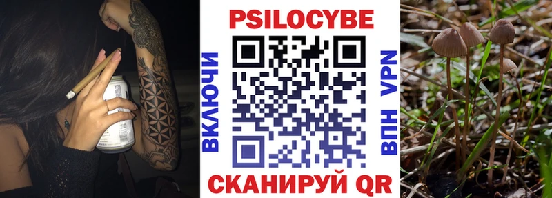 Псилоцибиновые грибы Psilocybe mega вход Бобров